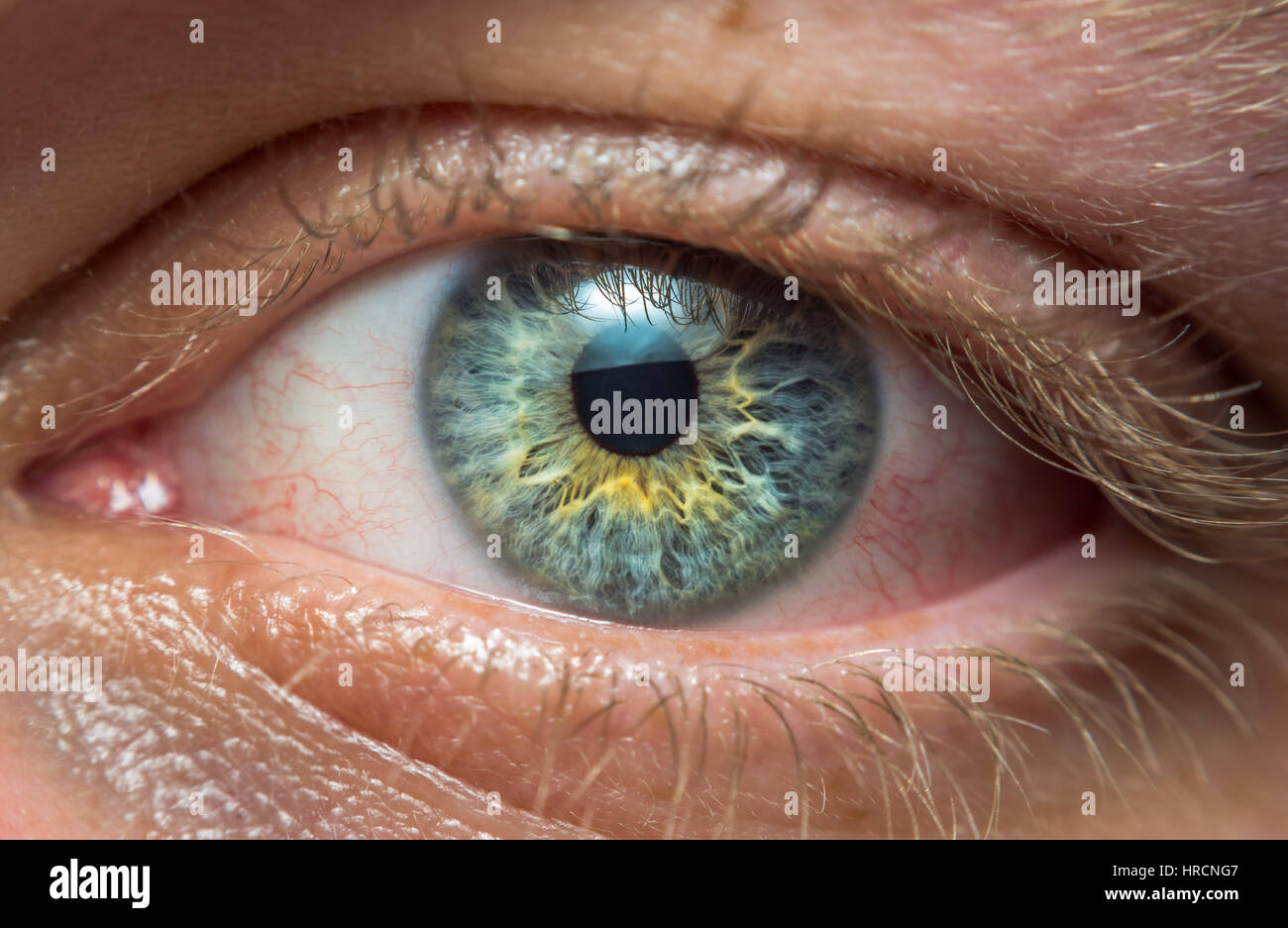 Different eye colors human hi-res stock photography and images - Alamy