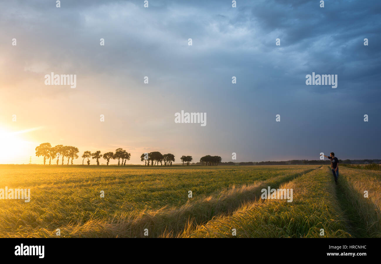 A man in a field of wheat pointing at the sun during sunset in Holland, Europe Stock Photo