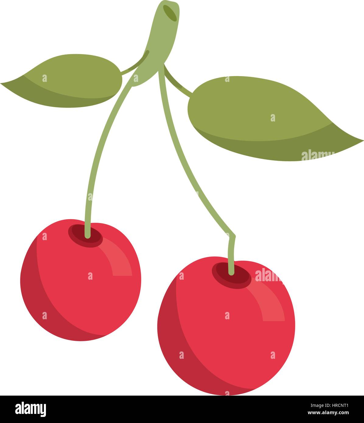 cherry berry nutrition icon Stock Vector Image & Art Alamy