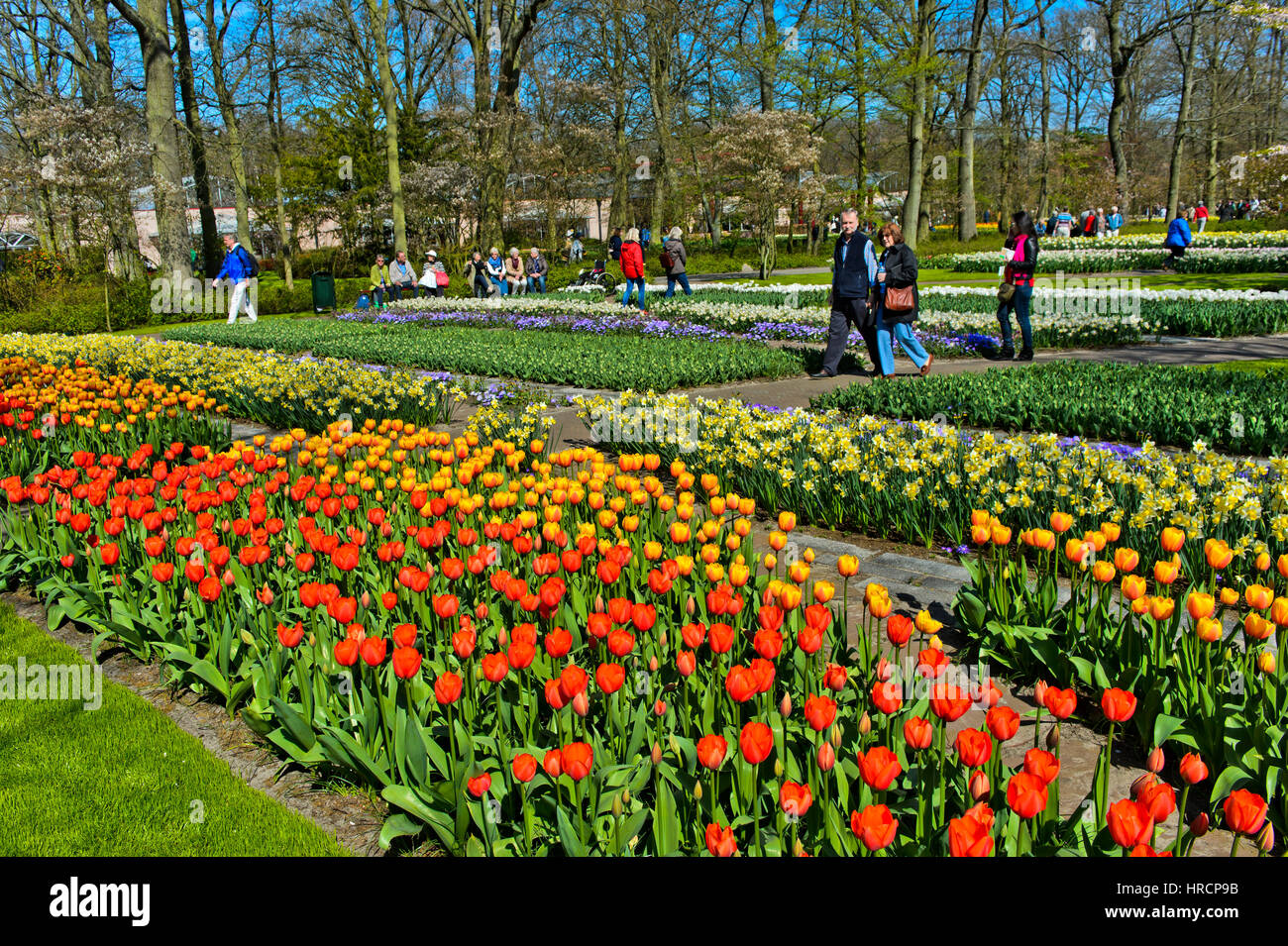 Flower show at Keukenhof Flower Gardens, Lisse, Netherlands Stock Photo