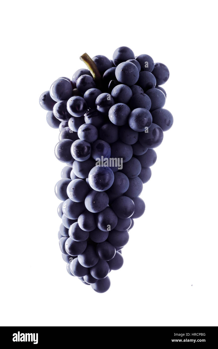 bunch of ripe dark grape isolated on white background Stock Photo