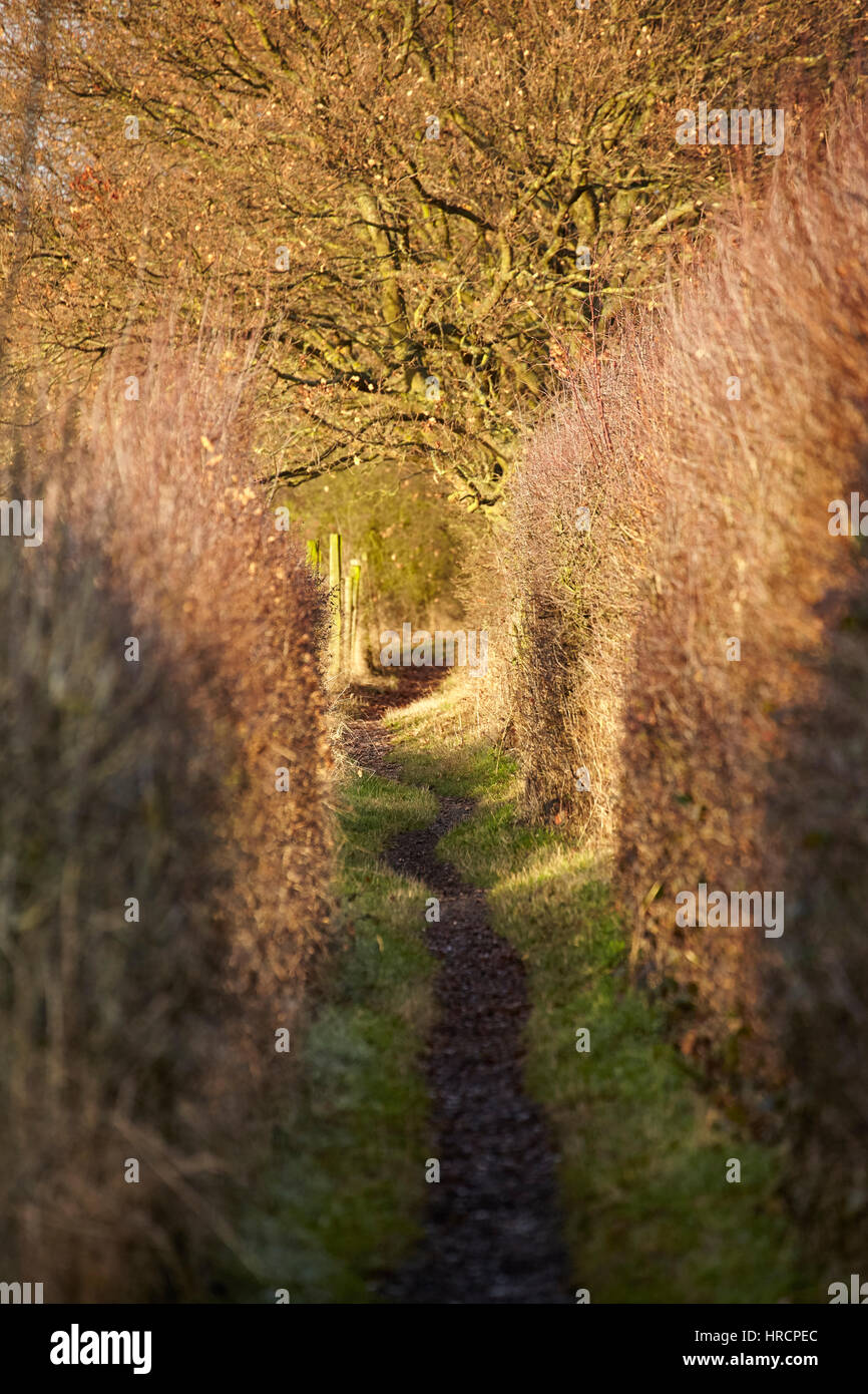 Public footpath in Totteridge, London Stock Photo - Alamy
