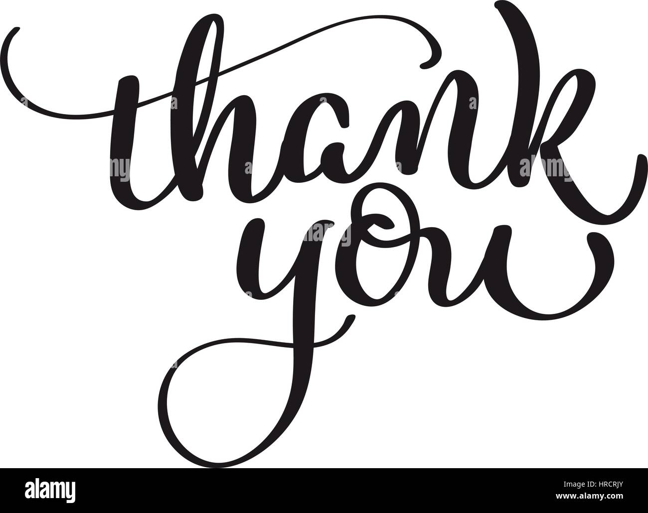 Thank you text isolated on white background. calligraphy and lettering Stock Vector
