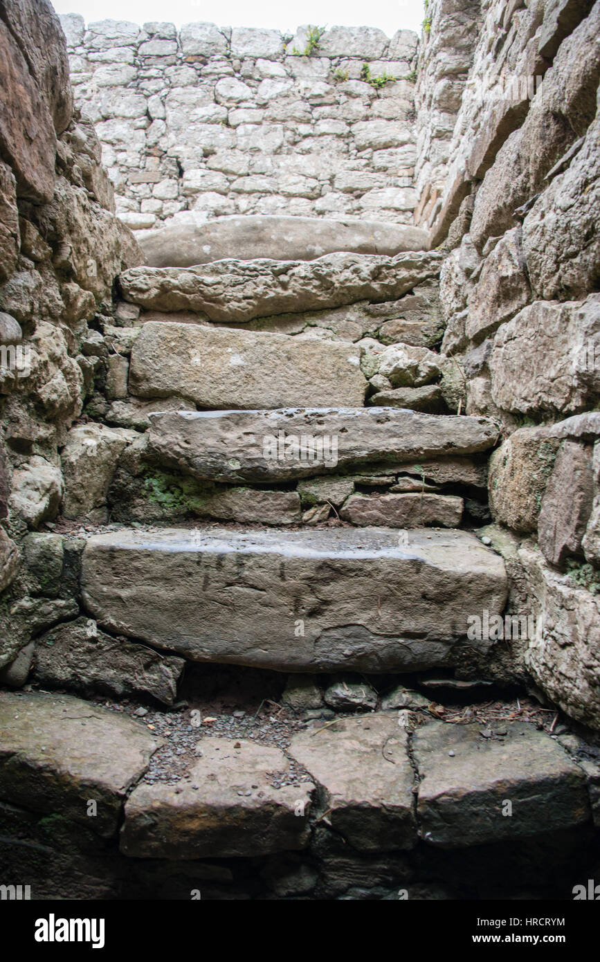 Stone steps down to the crypt in Capel Lligwy, a ruined chapel near Rhos Lligwy in Anglesey, north Wales Stock Photo