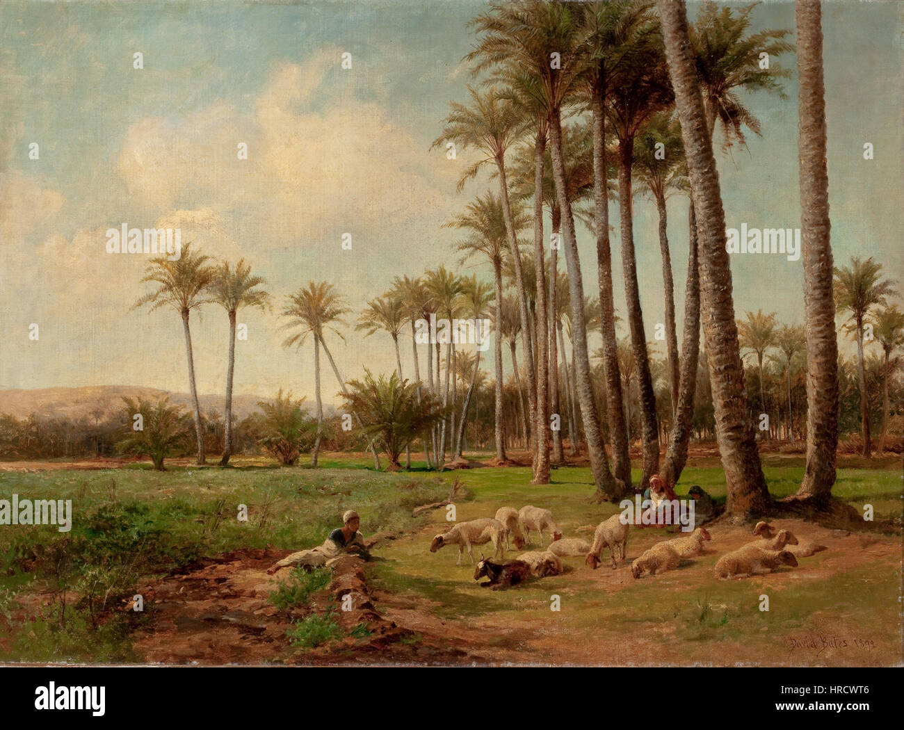 David bates hi-res stock photography and images - Alamy