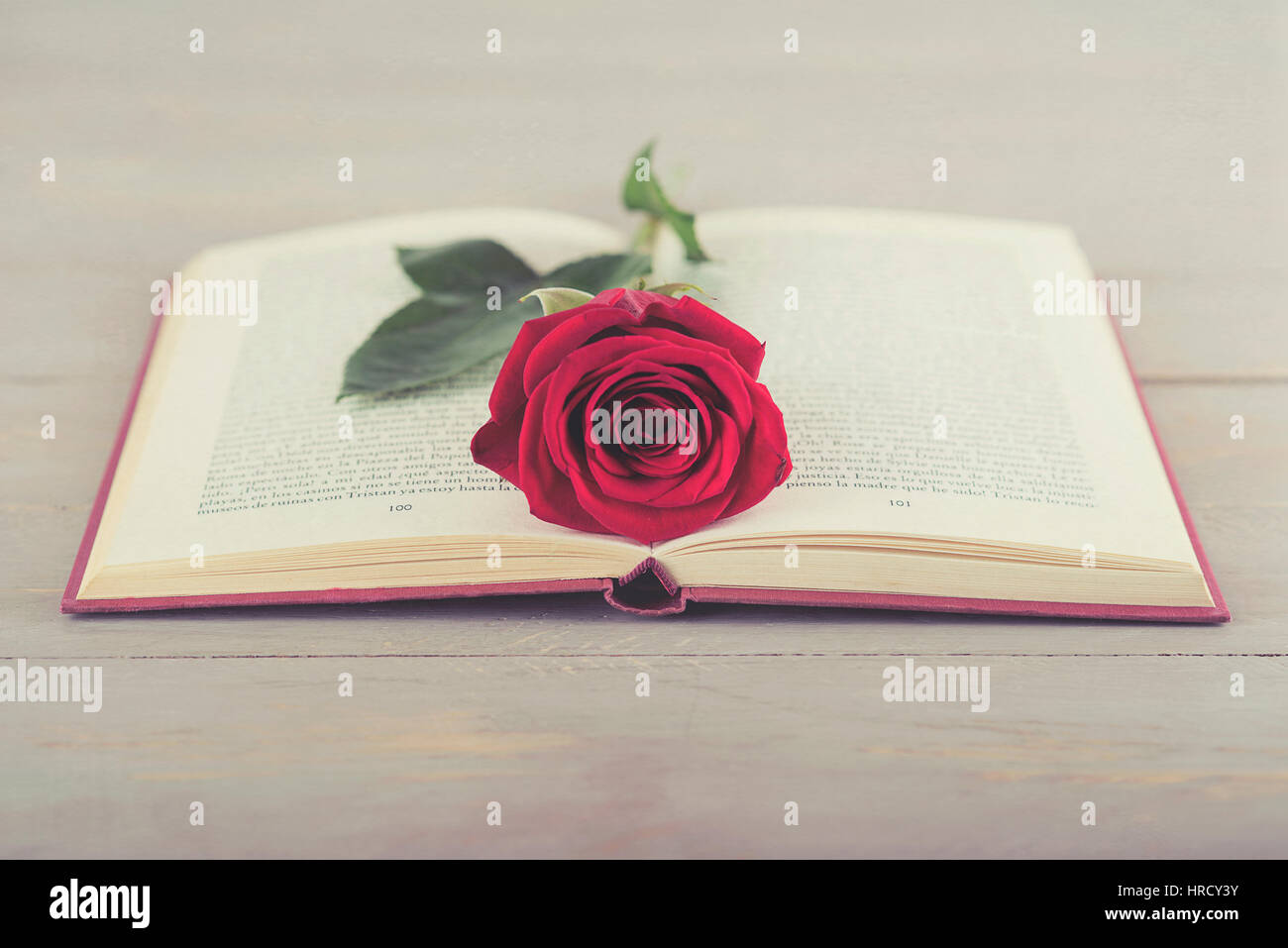 Rose with a book Stock Photo - Alamy
