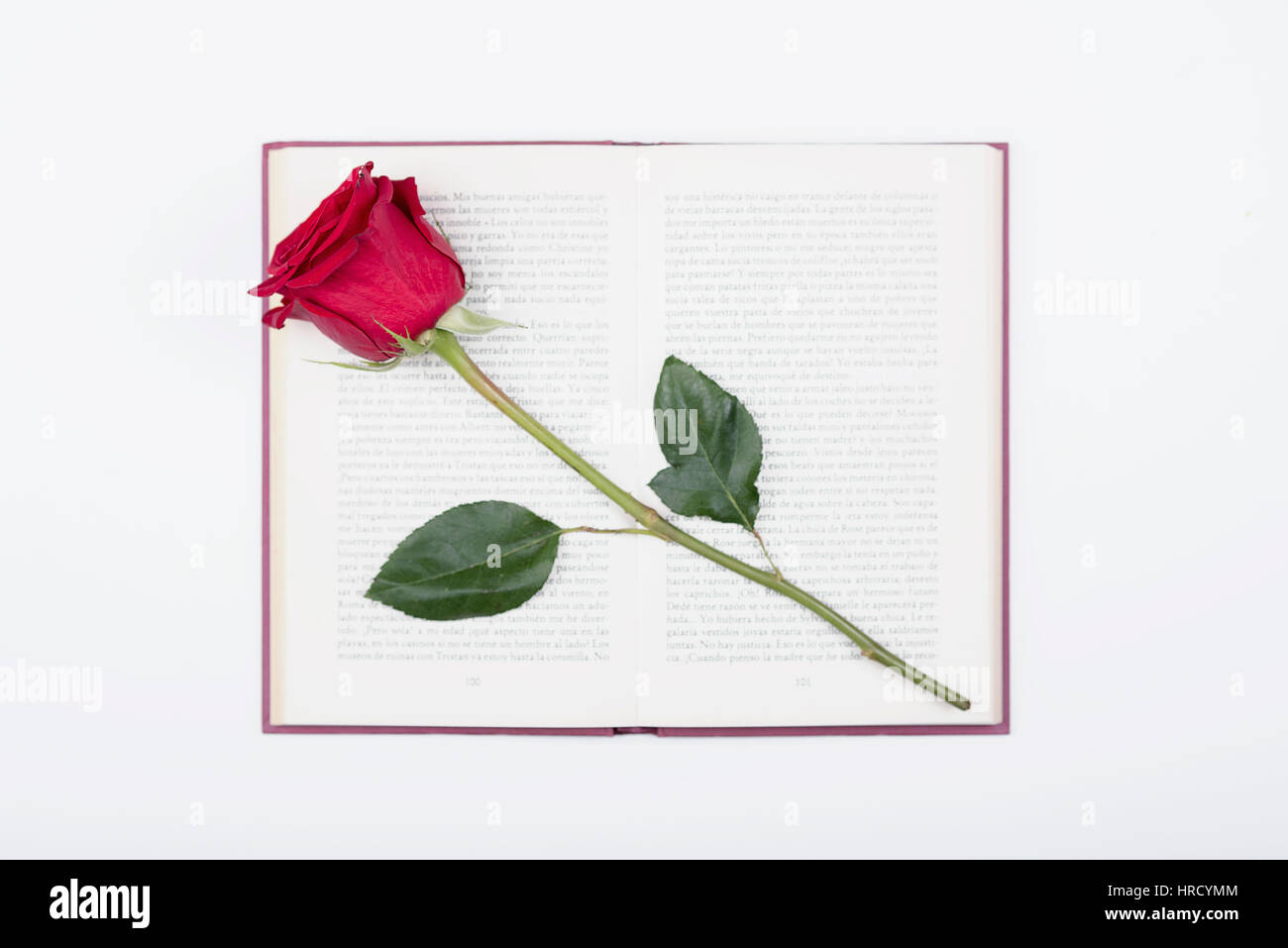 Rose with a book Stock Photo - Alamy