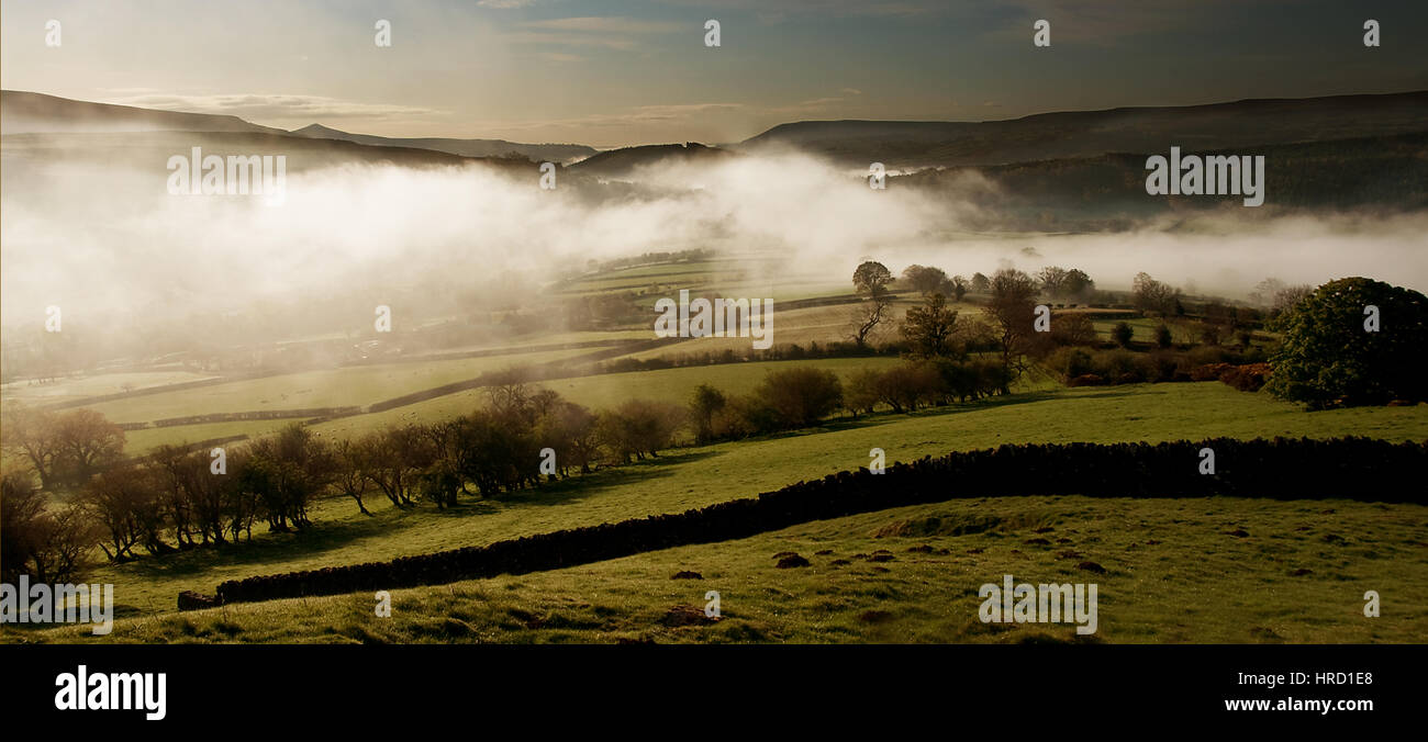 The Allt in the Black Mountains on a misty morning, Brecon Beacons National Park, Wales, United Kingdom Stock Photo