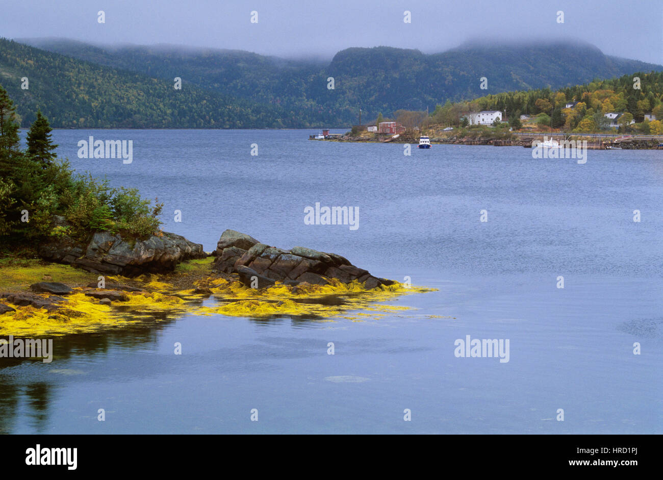 Swift Current, Burin Peninsula, Newfoundland and Labrador, Canada Stock