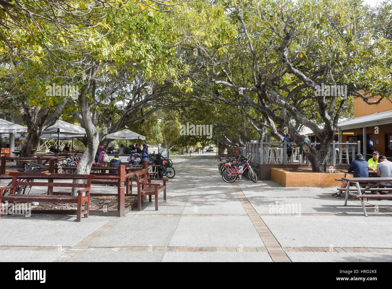Tourists in outdoor seating area with restaurants and bike storage at