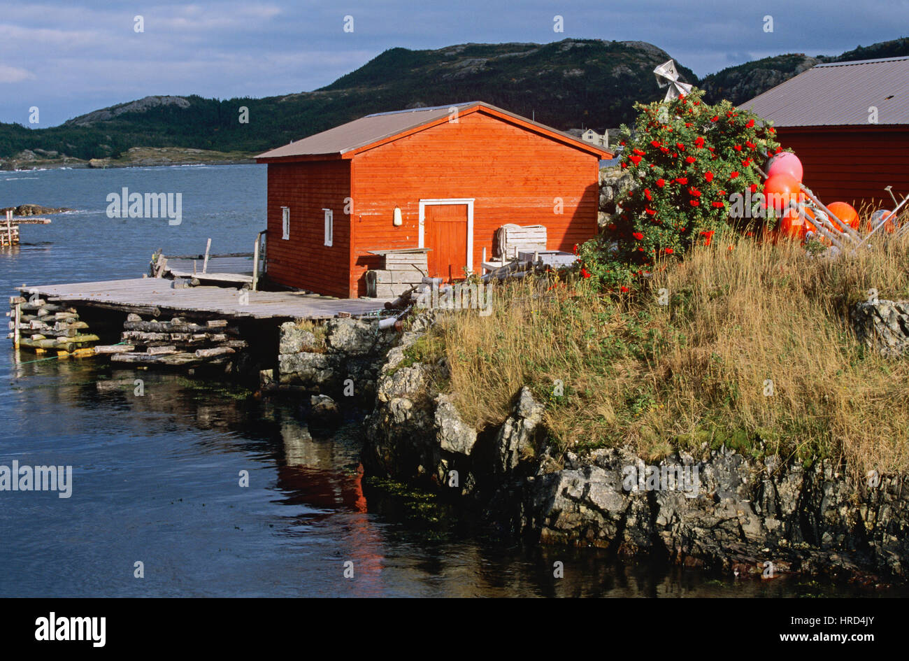 Boat Houses in the fishing village of Salvage, Newfoundland and