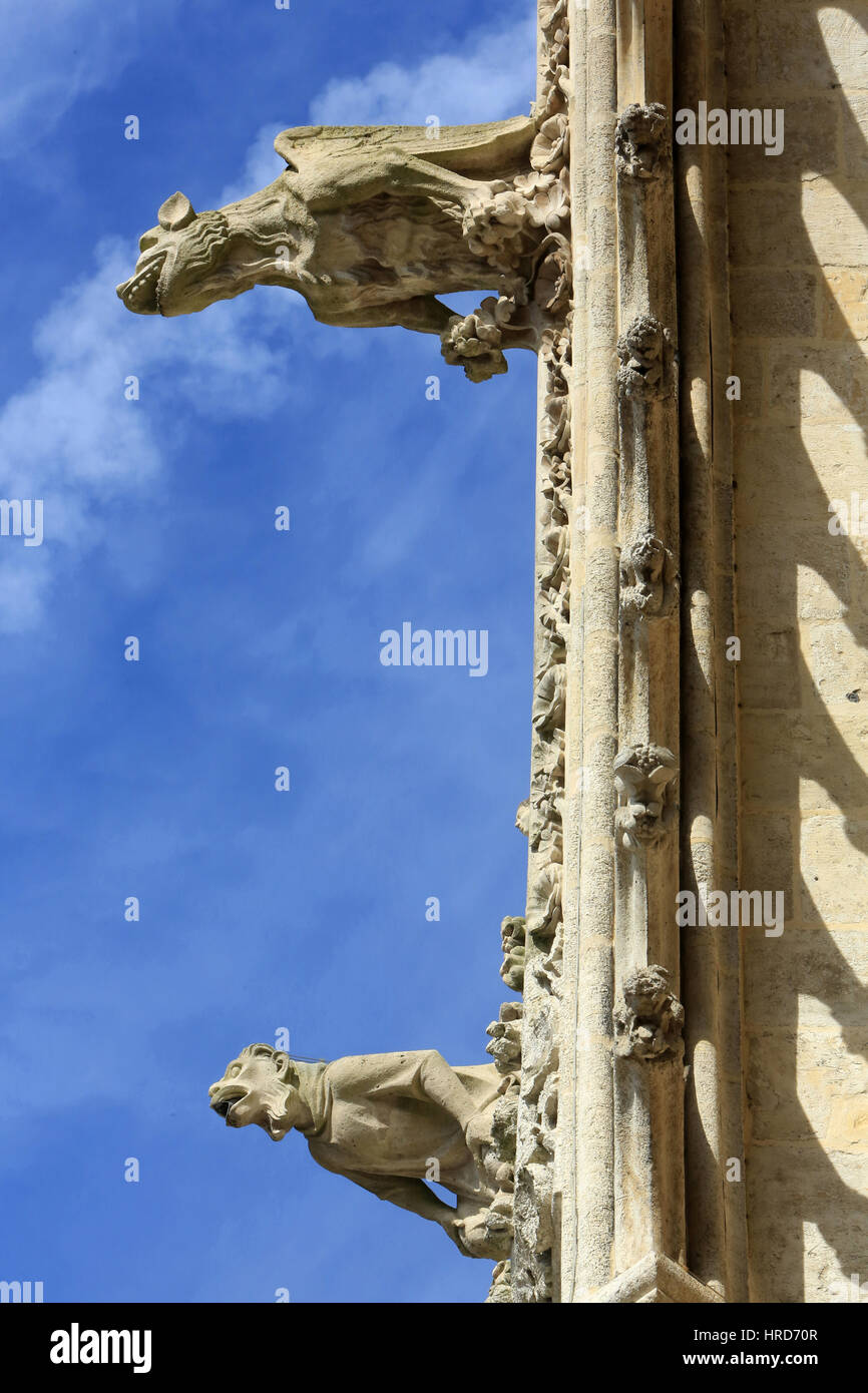 Félin à ailes de chauve-souris. Gargouille. Cathédrale Notre-Dame d'Amiens. Notre-Dame d'Amiens cathedral. Stock Photo