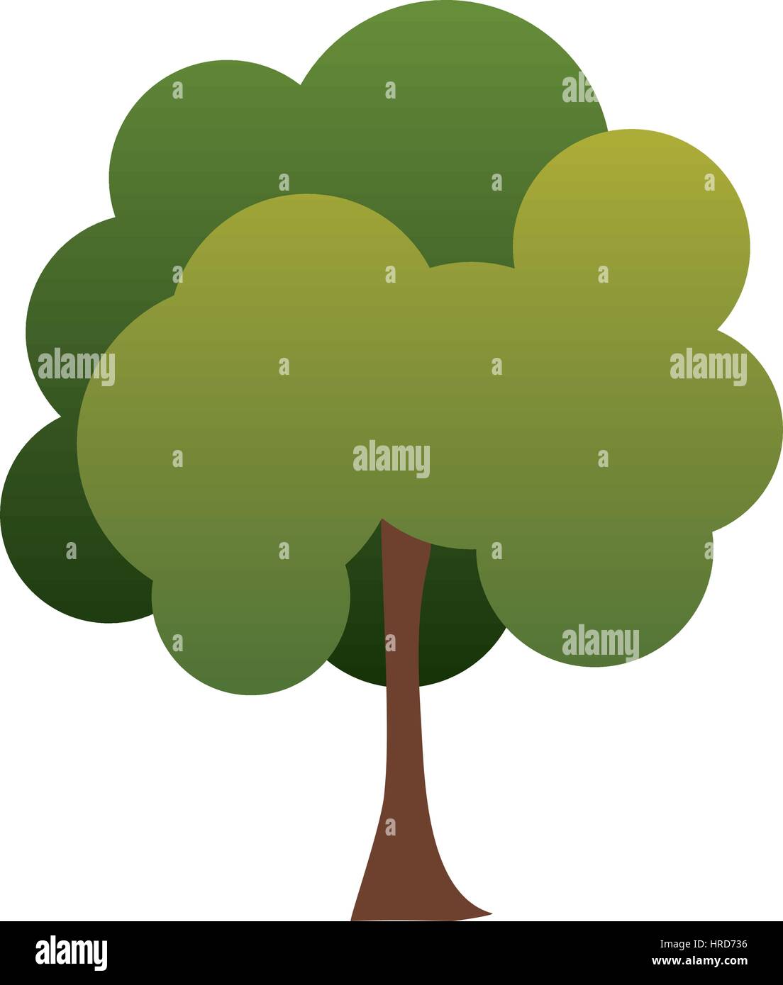 colorful green tree plant eco nature Stock Vector Image & Art - Alamy