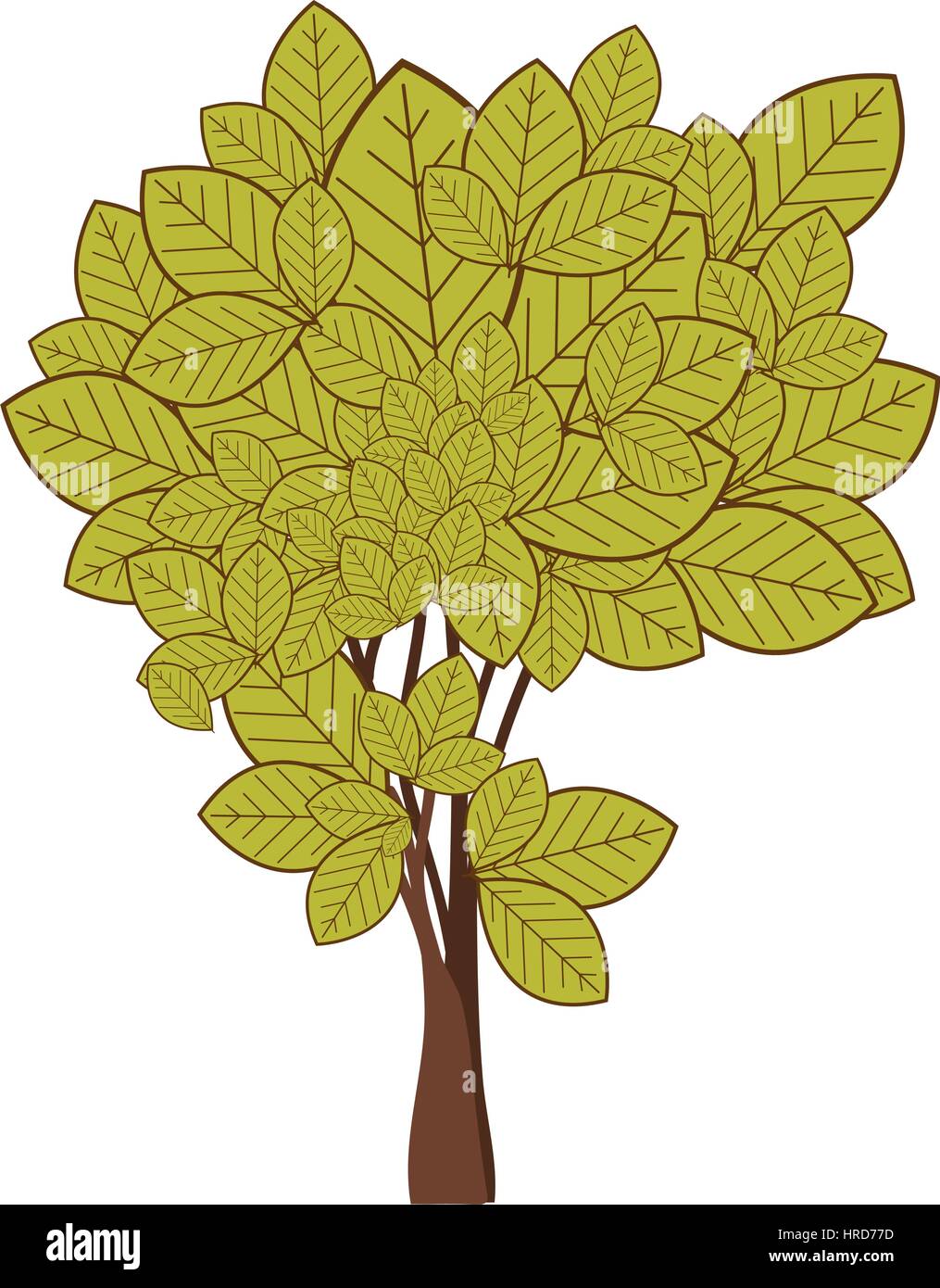green leafy tree with ramifications nature icon Stock Vector Image ...