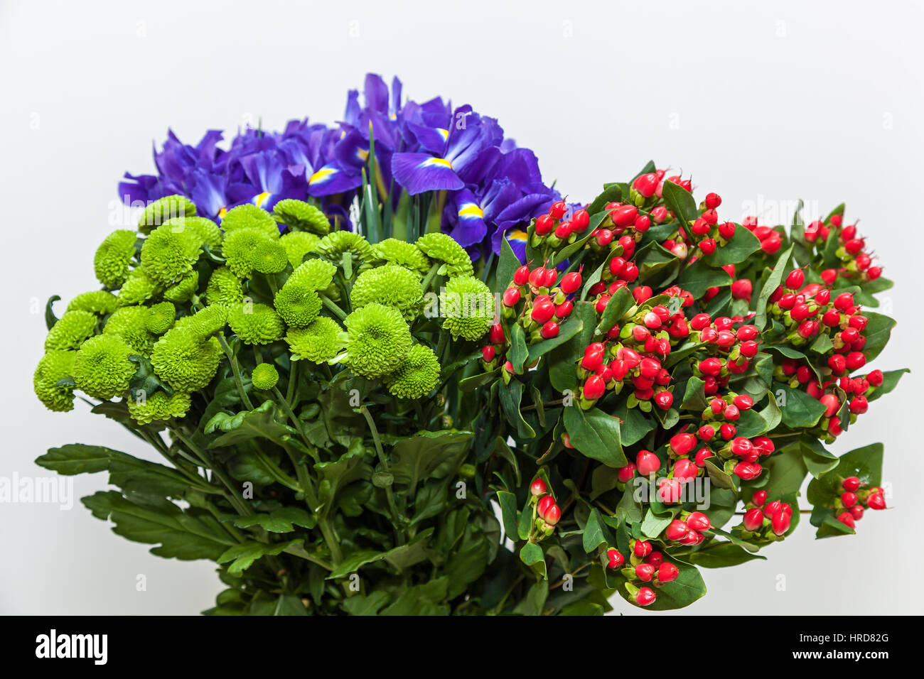 colorful floral bouquet of chrysanthemums, red hypericums and irises   isolated on white background Stock Photo