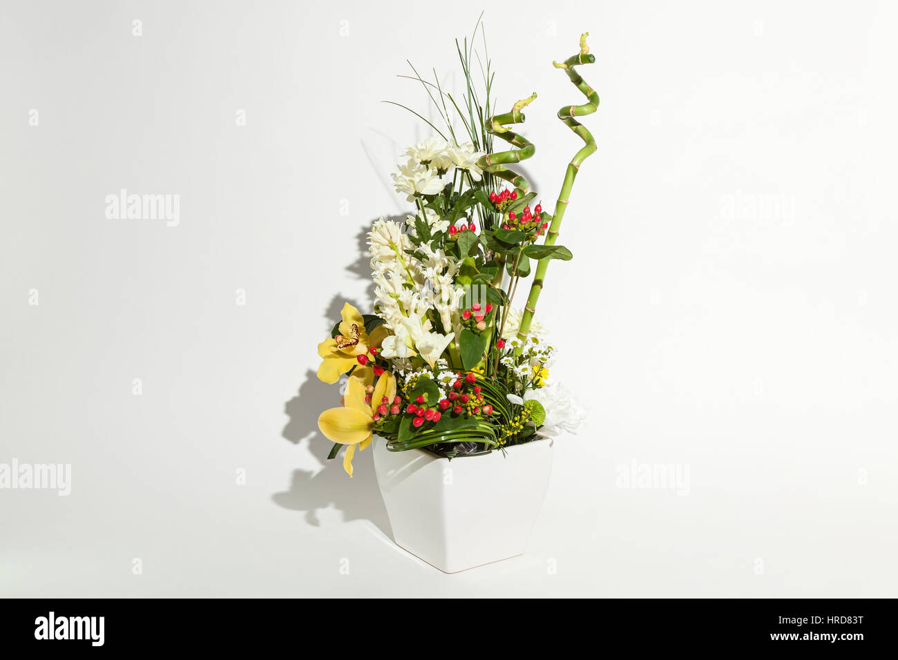colorful floral bouquet of orchids, chrysanthemums,  and red hypericums  in vase isolated on white background Stock Photo