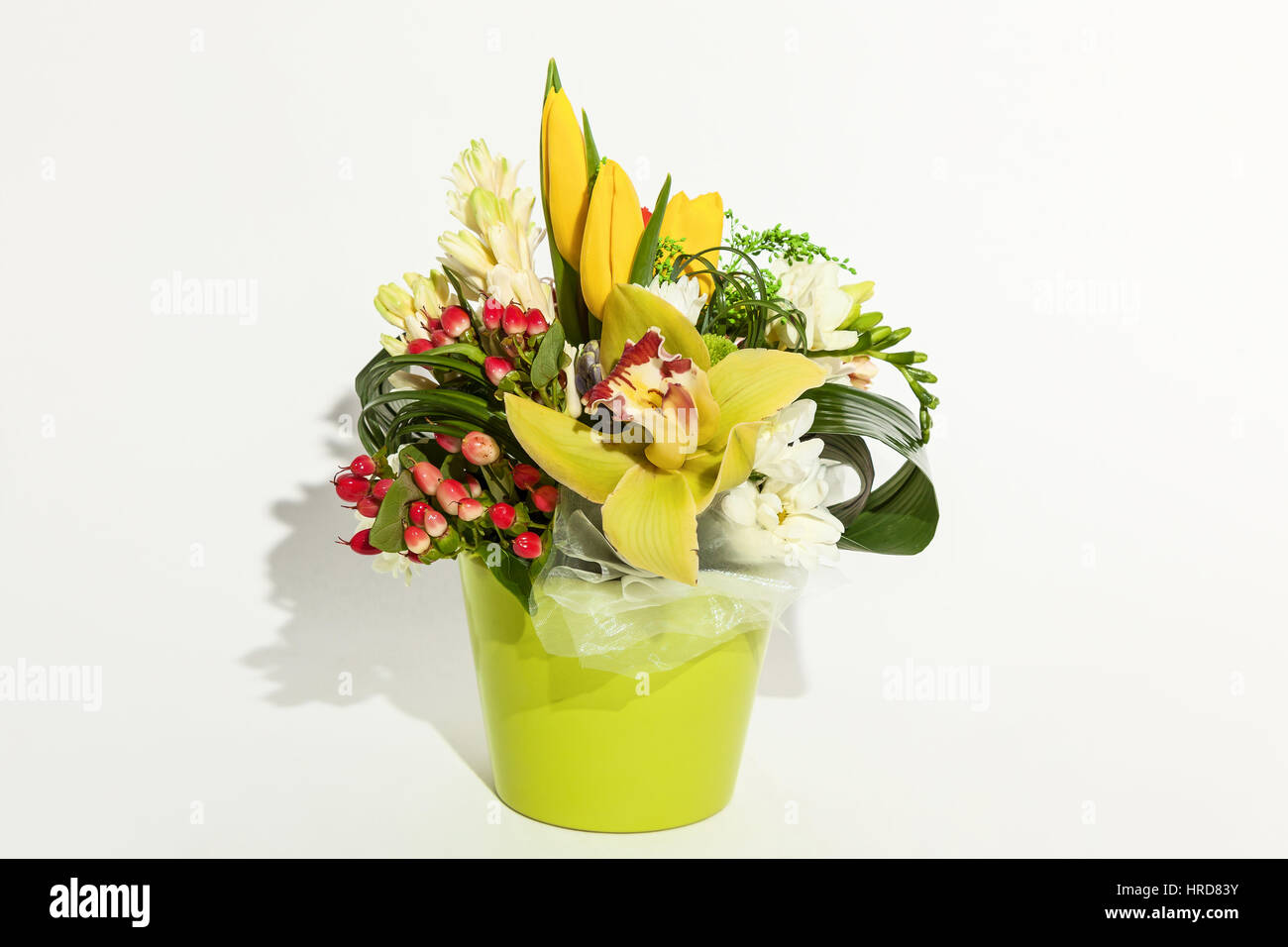 colorful floral bouquet of orchids, tulips, chrysanthemums,  and red hypericums  in vase isolated on white background Stock Photo