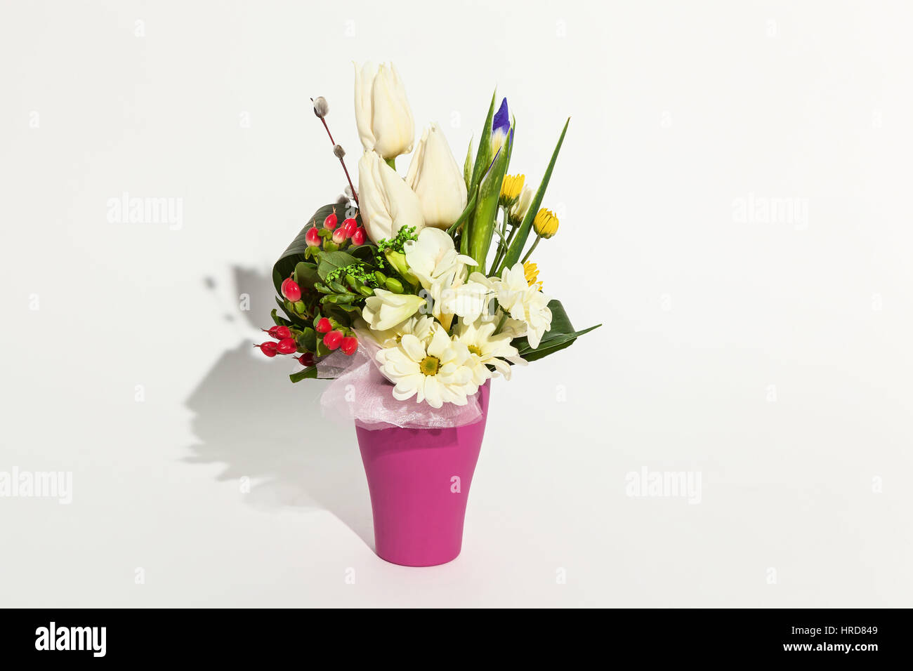 colorful floral bouquet of tulips,chrysanthemums, red hypericums and irises  in vase isolated on white background Stock Photo
