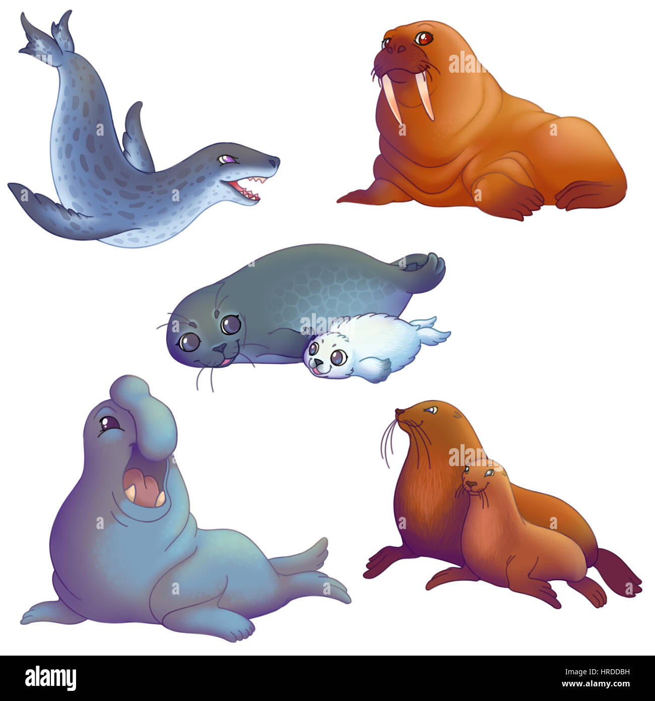 Cartoon colorful pinnipedes: Leopard seal, Walrus, Ringed seal with pup, El...