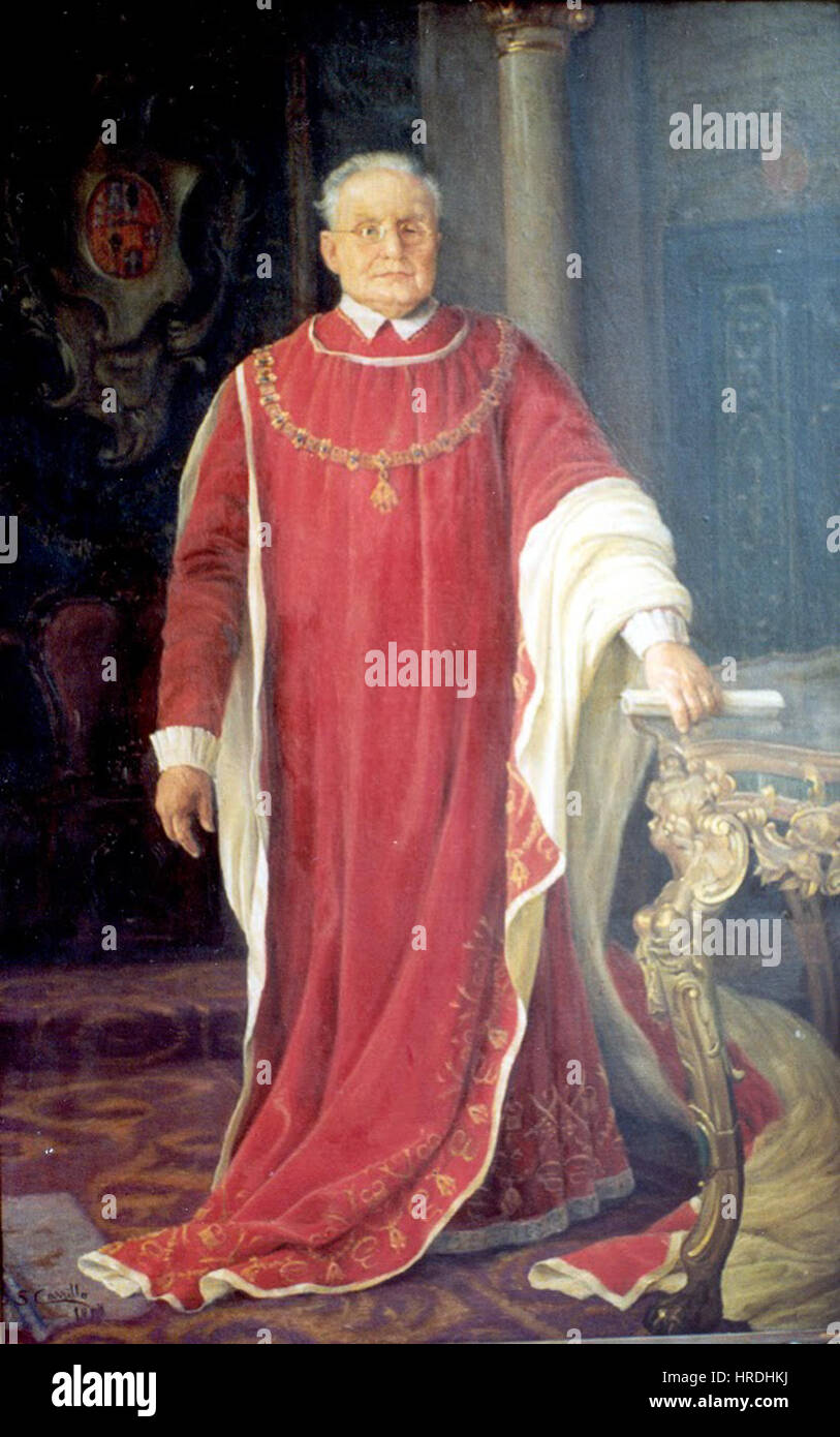 This portrait shows the Duke of Alba wearing the Mantle of the Order of ...