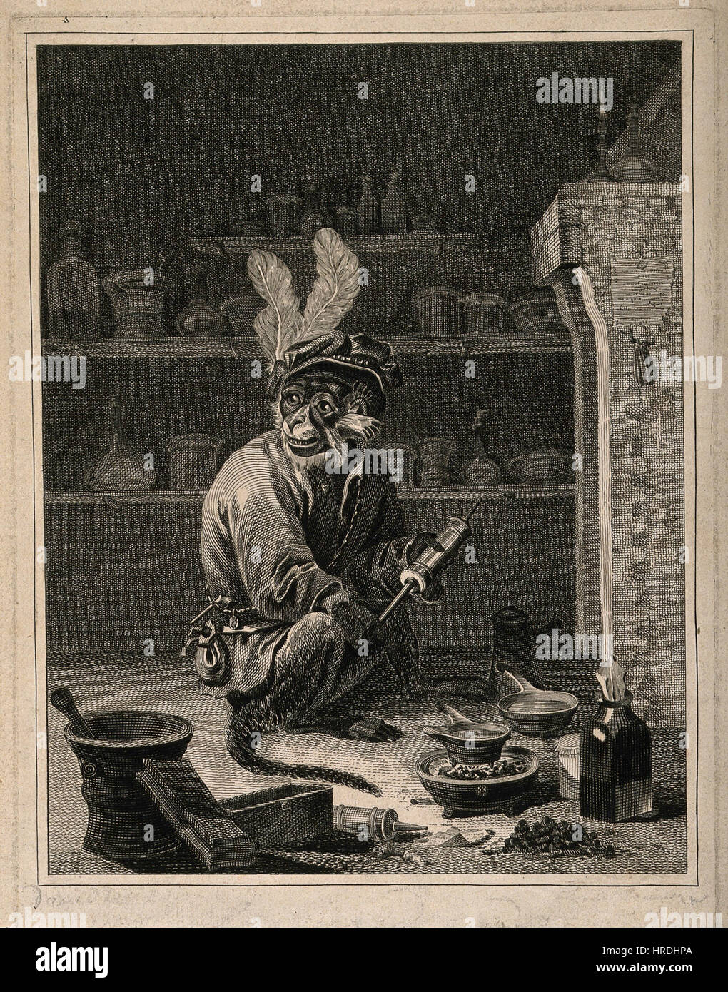 A monkey holding a clyster in an apothecary's shop; satirizi Wellcome V0011930 Stock Photo