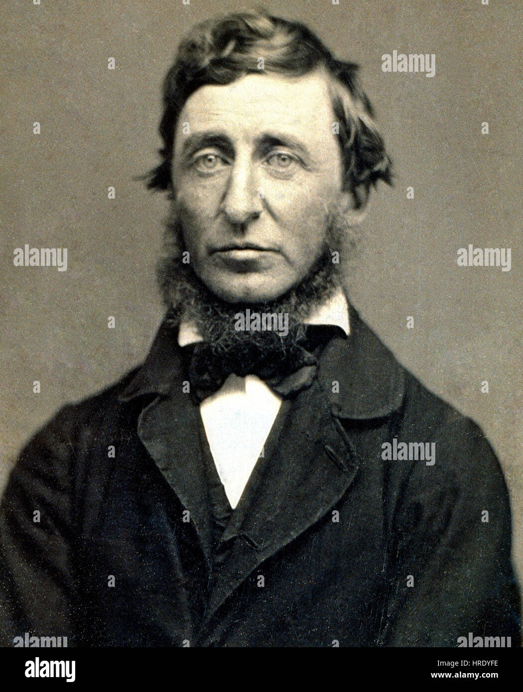 Benjamin D. Maxham Henry David Thoreau Restored Stock Photo Alamy