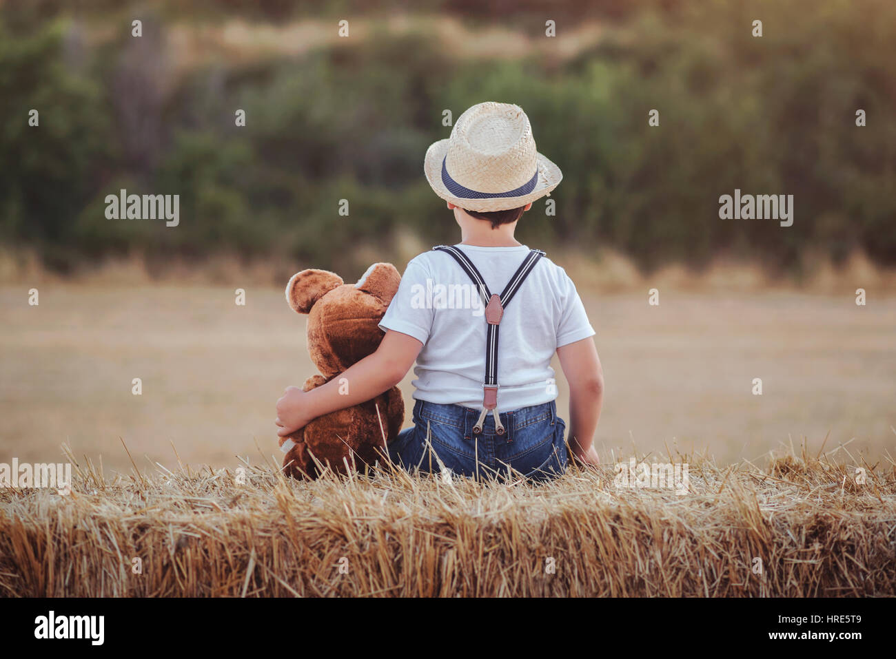 Back view of a Boy hugging teddy bear in the wheat field Stock Photo ...