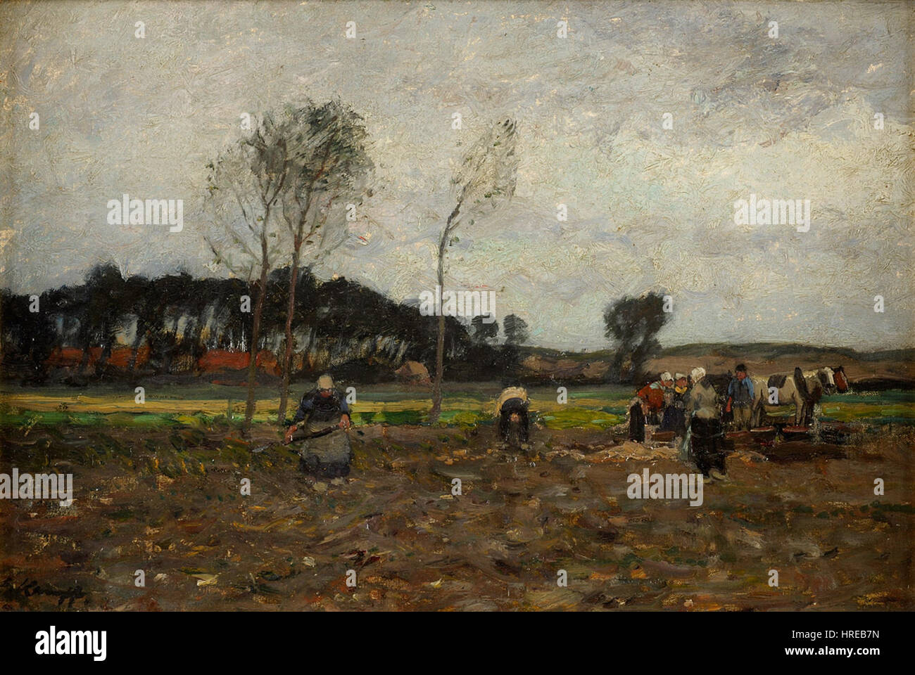 Kartoffelernte High Resolution Stock Photography and Images - Alamy