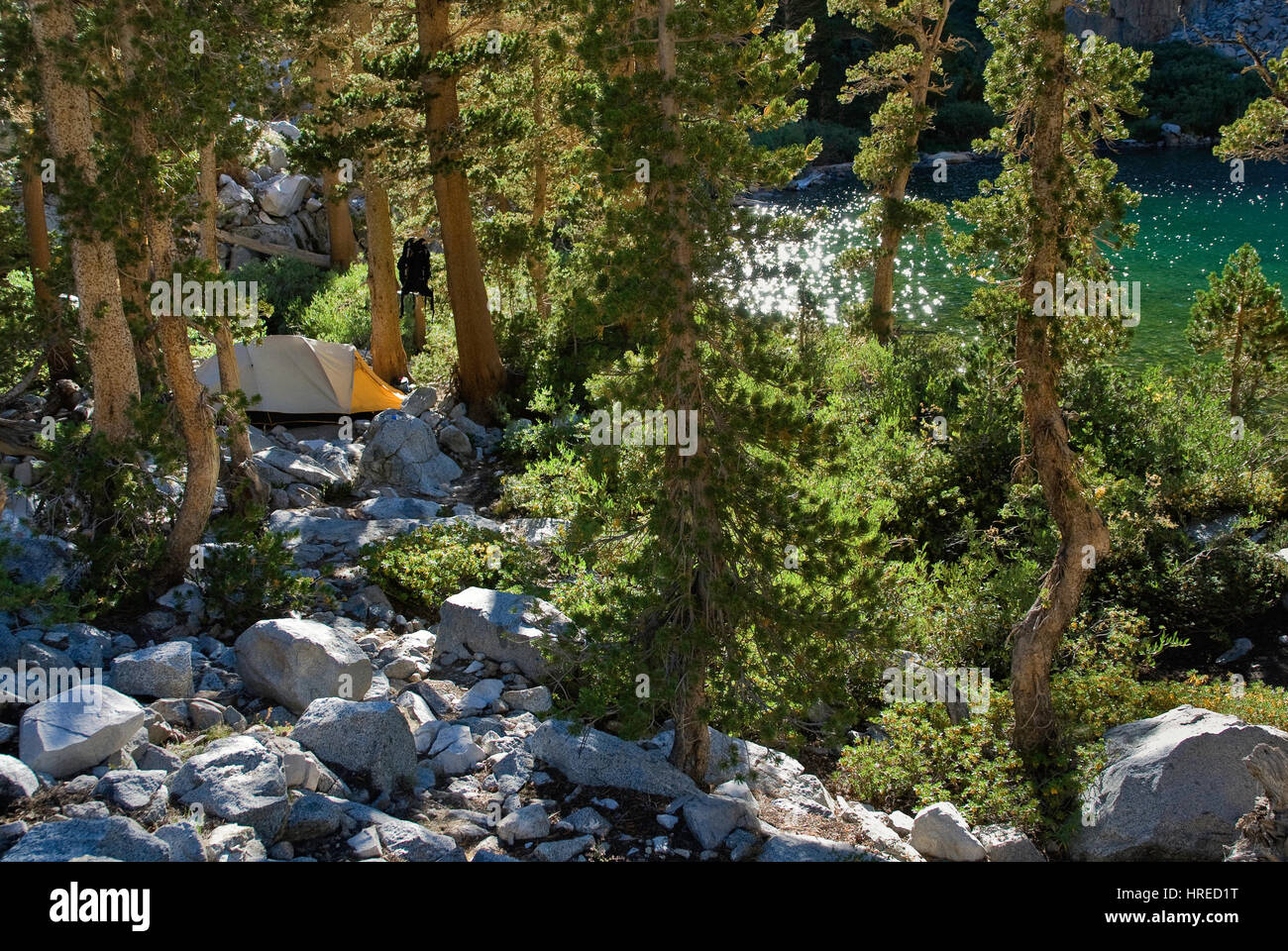 Campsite at Brainard Lake, The Palisades region, John Muir Wilderness, Eastern Sierra Nevada, California, USA Stock Photo