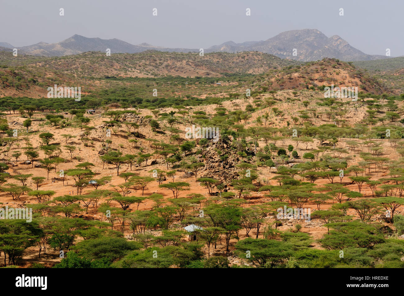Typical african landscape hi-res stock photography and images - Alamy