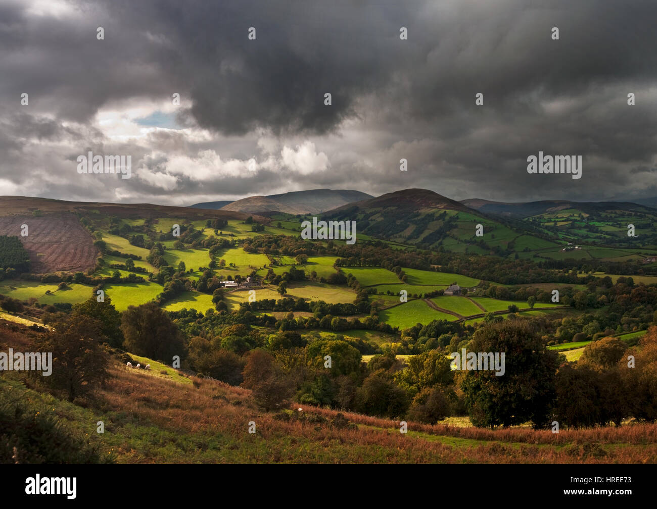 An autumn landscape over Llangynidr, Black Mountains, Brecon Beacons National Park, Wales, United Kingdom Stock Photo