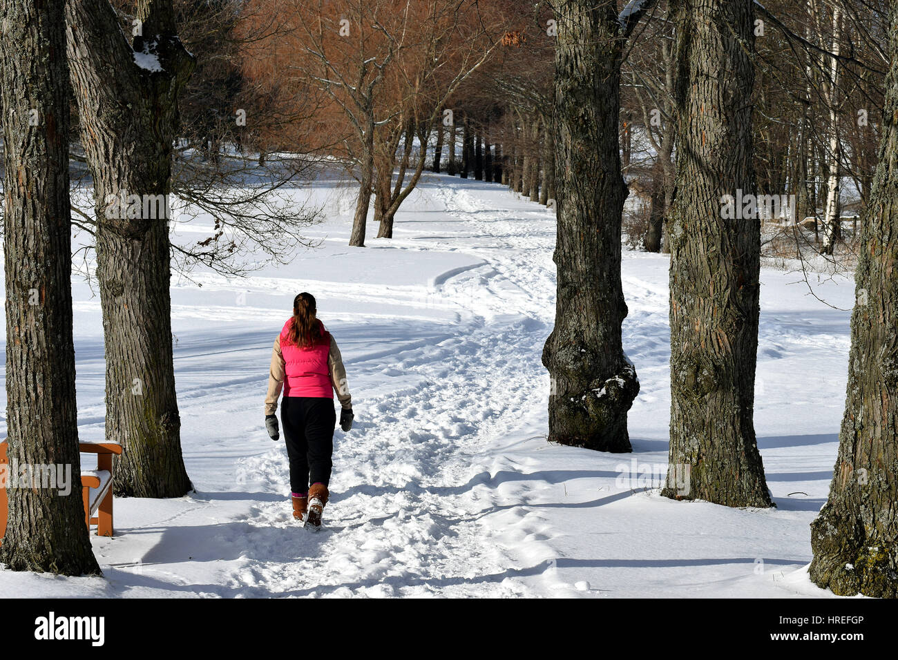 Woman alone walking winter park hi-res stock photography and images - Alamy