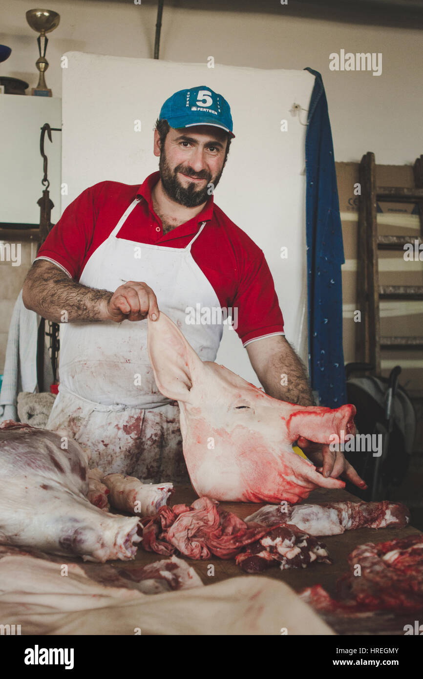 A smiling slaughter holding a dead pig head at a slaughterhouse in Alba, which is located in the province of Piedmont, Italy. Stock Photo