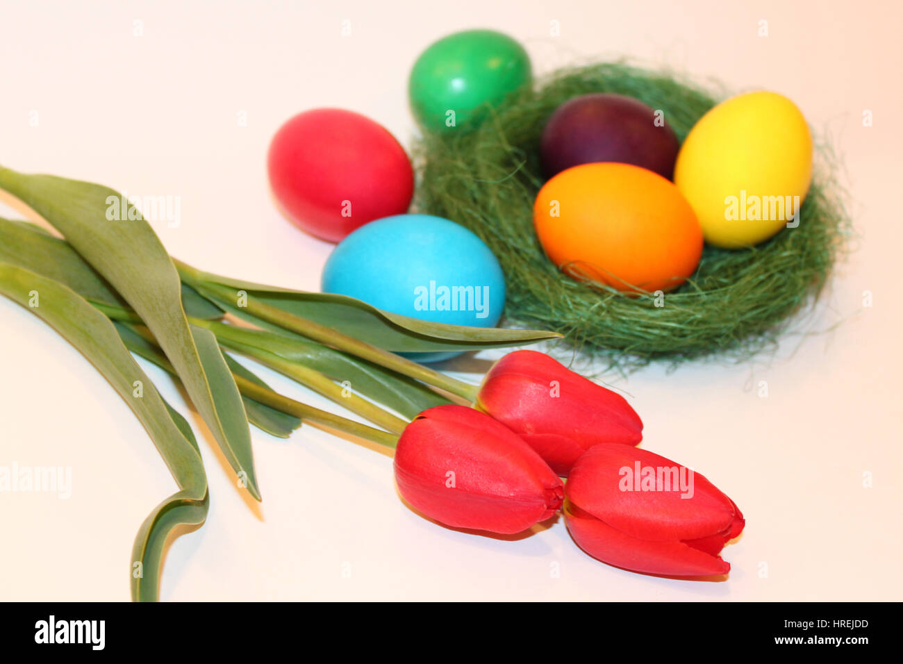 Colored easter eggs and red tulips on white background Stock Photo - Alamy