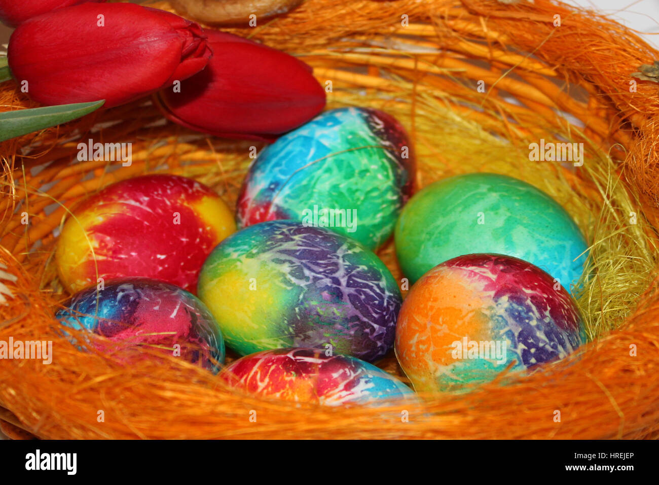 Colored Easter eggs and red tulips Stock Photo - Alamy