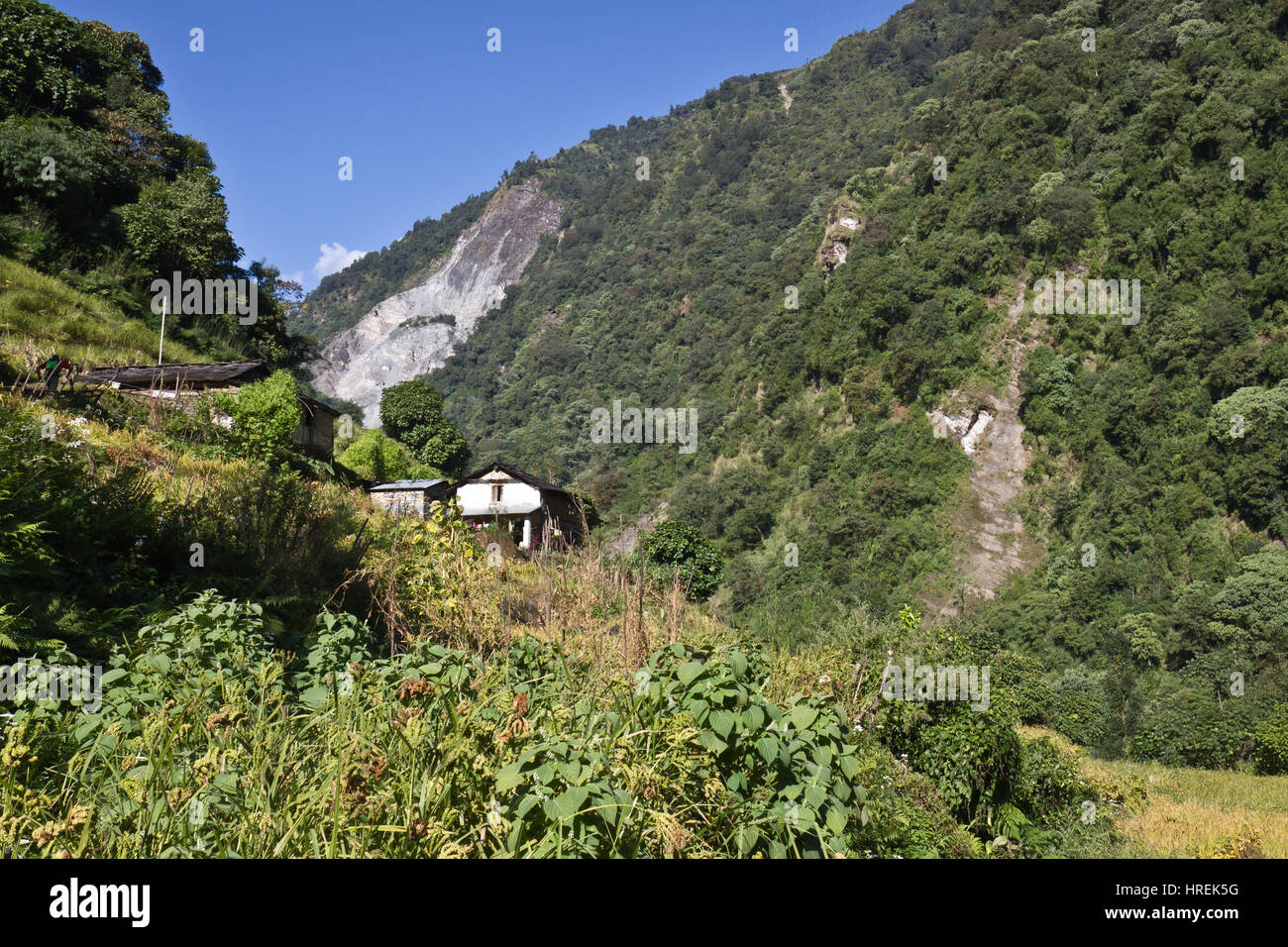 Farm in the Himalayas, Nepal Stock Photo
