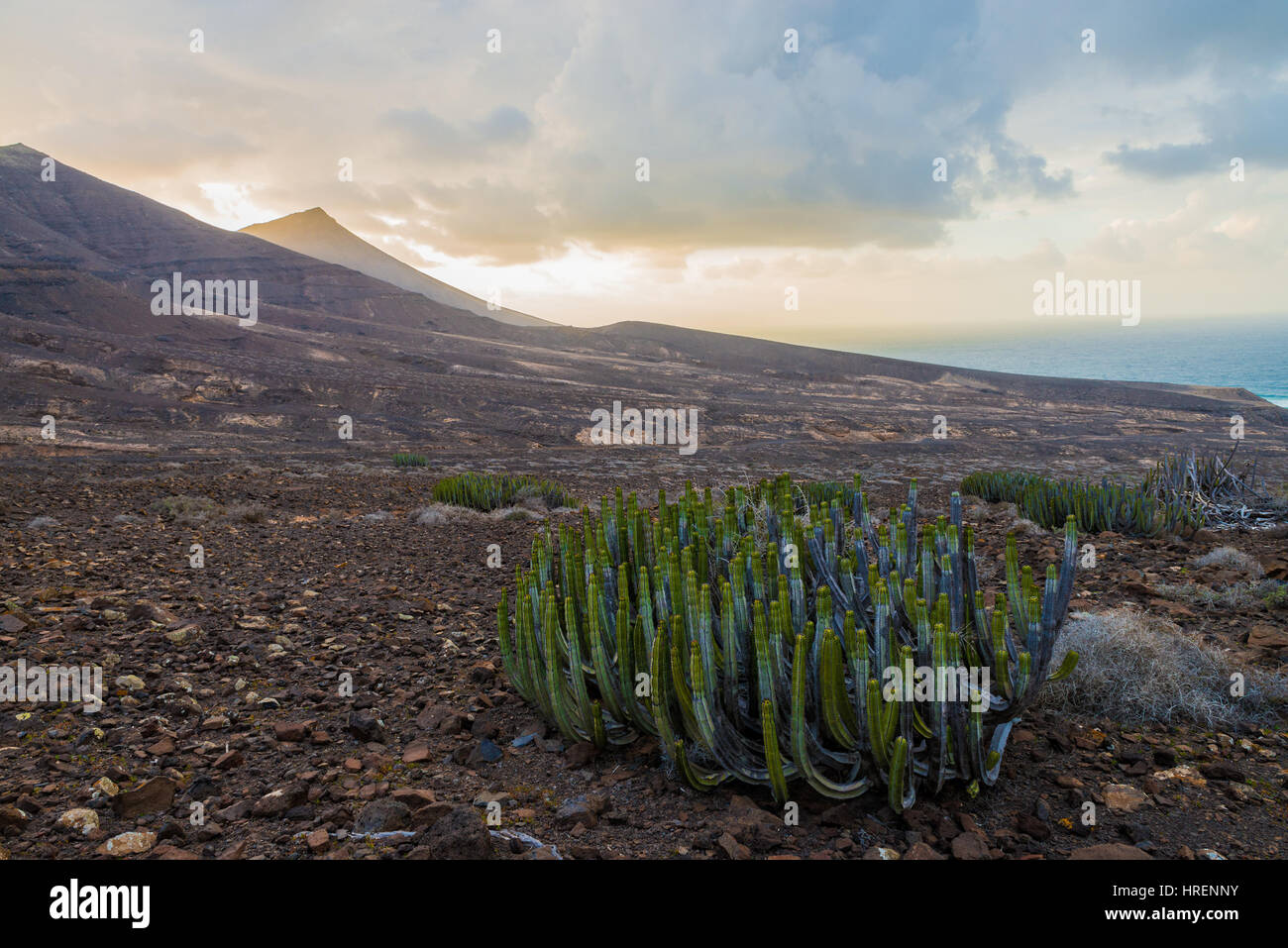 Fuerteventura Island beach landscape Stock Photo - Alamy