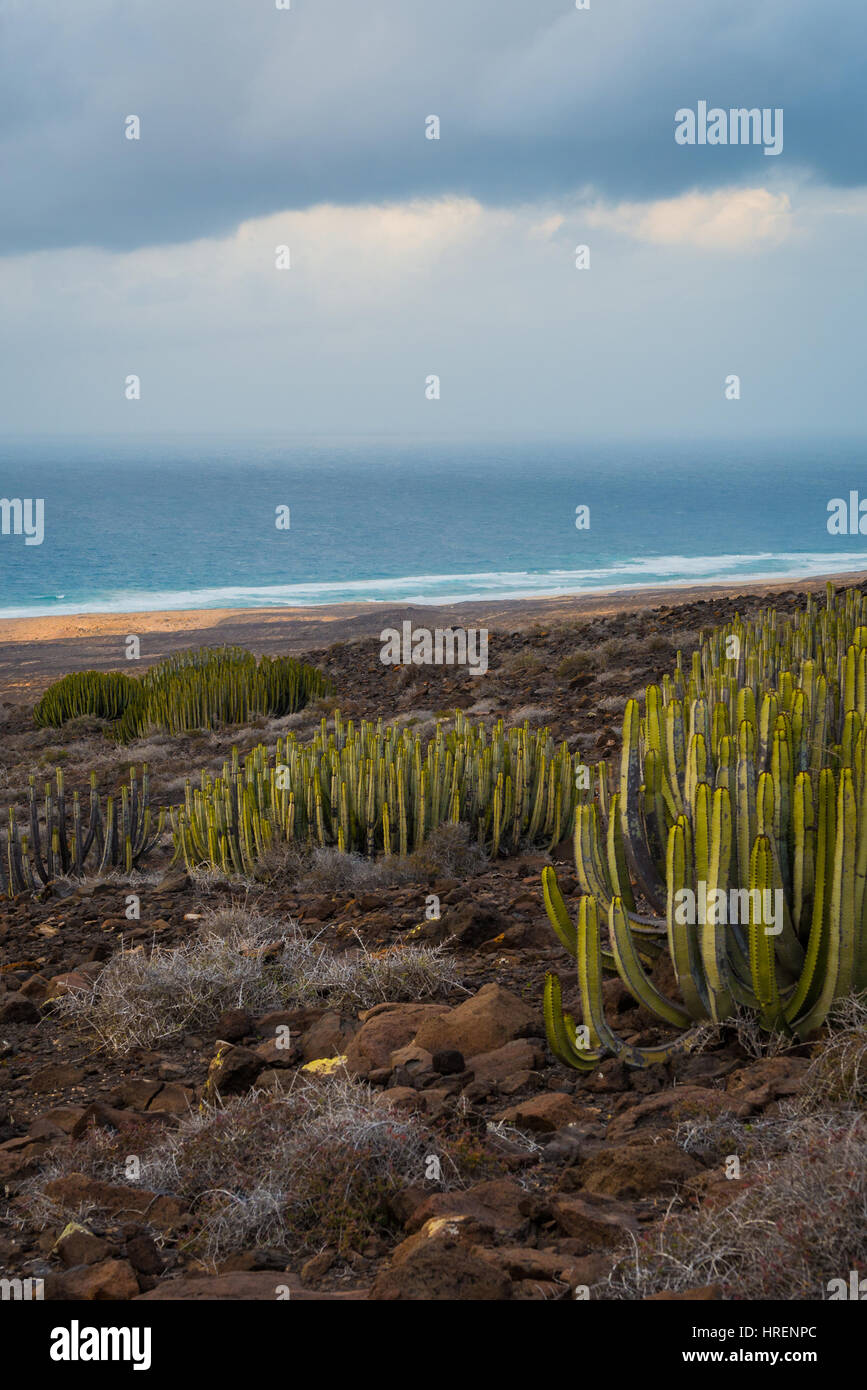 Fuerteventura Island beach landscape Stock Photo - Alamy