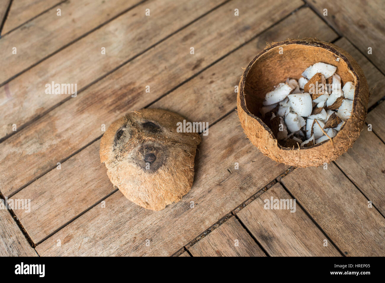 coconut Stock Photo