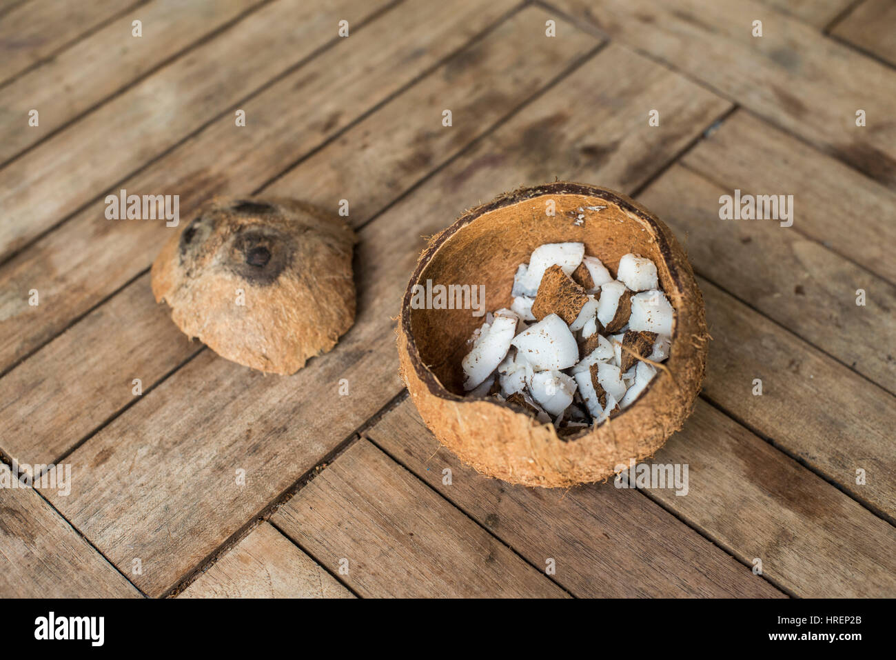 coconut Stock Photo