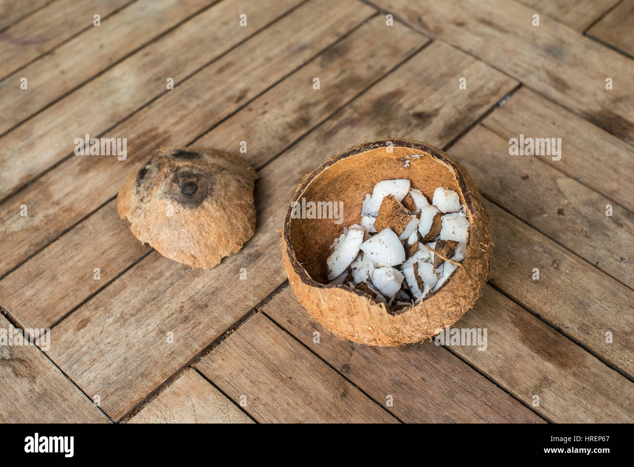 coconut Stock Photo
