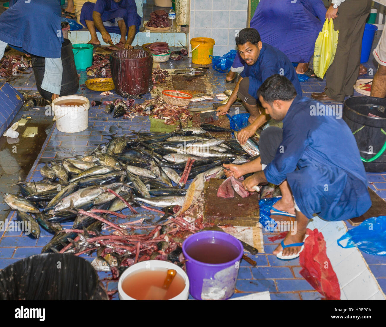 Fujairah united arab emirates fish hires stock photography and images