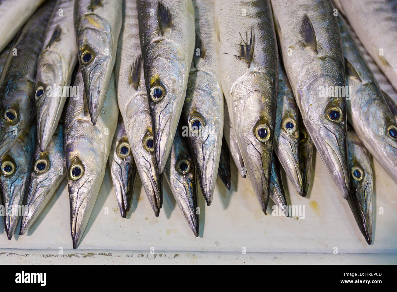 FUJAIRAH, UNITED ARAB EMIRATES Fish Market Stock Photo Alamy