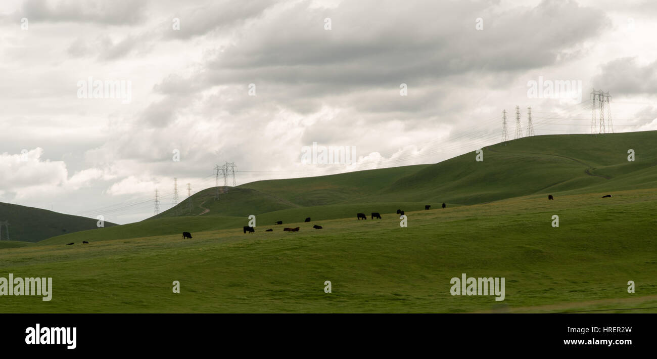 San Joaquin Valley in springtime Stock Photo - Alamy