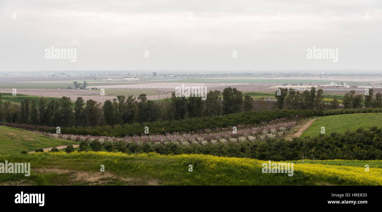San Joaquin Valley in springtime Stock Photo - Alamy