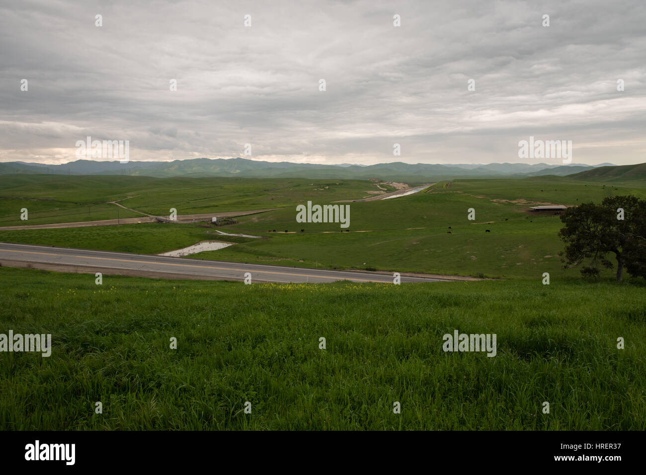 San Joaquin Valley in springtime Stock Photo - Alamy