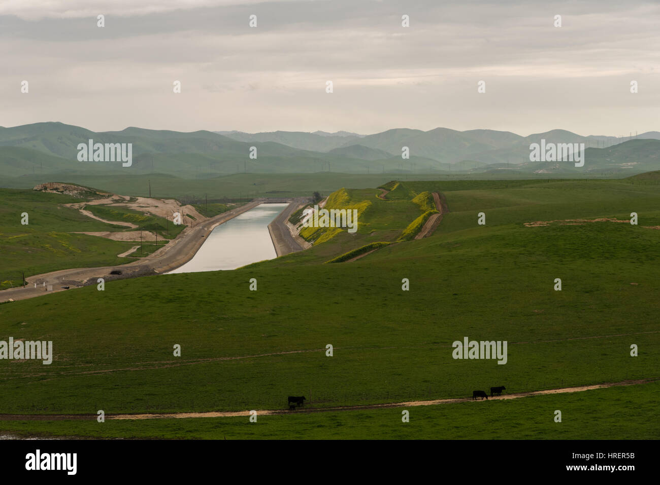 San Joaquin Valley in springtime Stock Photo - Alamy
