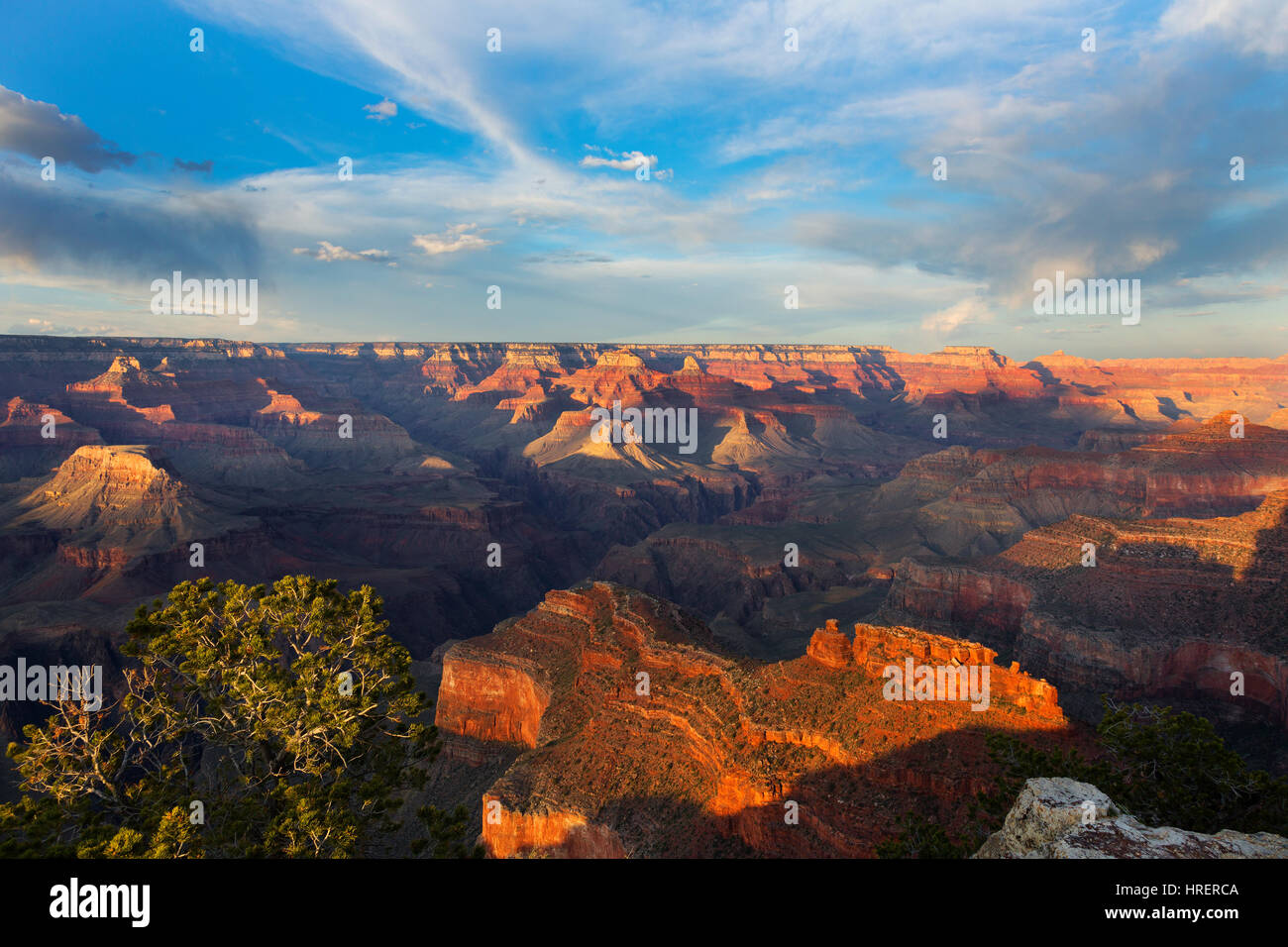 Powell Point, Grand Canyon National Park, Arizona Stock Photo Alamy