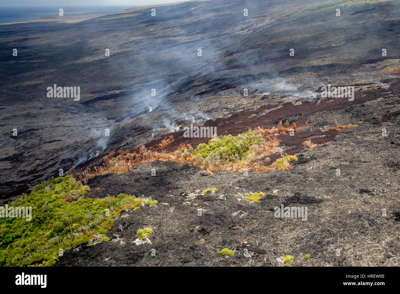 Aerial shot of remaining stands of forest between fresh lava flows and emissions of volcanic fumes on the slopes of the active volcano Kilauea on Big  Stock Photo