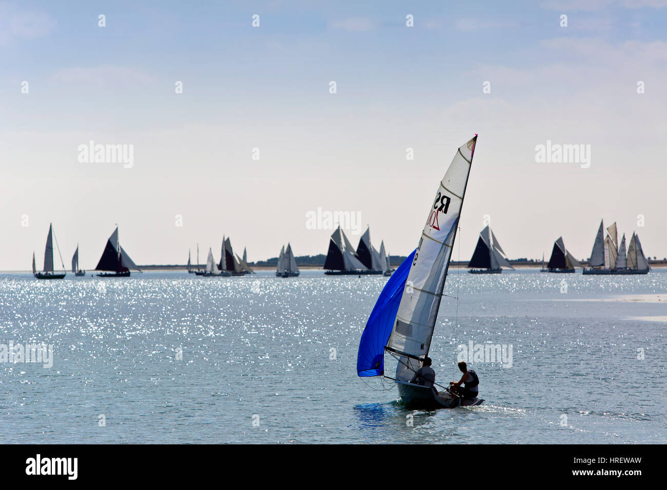 small sailing dinghy sailing towards a yacht race, with a flotilla of yachts or sailboats in the